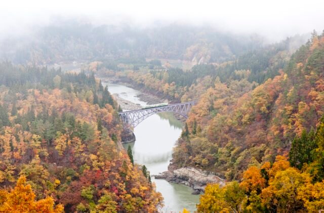 只見線列車駛過只見川拱橋、川霧與紅葉交織的秘境鐵道絕景