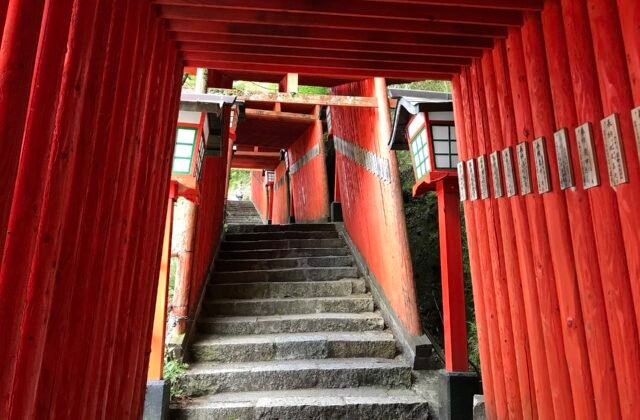 津和野太皷谷稻成神社約1000座朱紅鳥居連成的隧道沿山坡而上