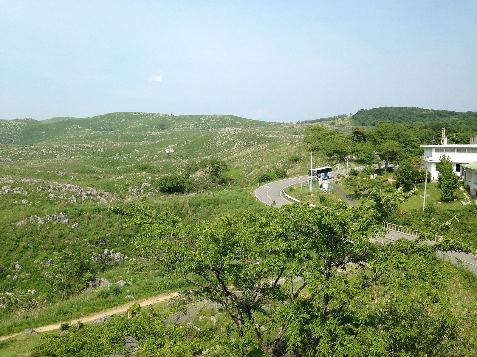 山口秋吉台的喀斯特台地，綠色草原上散布著白色石灰岩