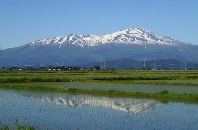 殘雪覆蓋的鳥海山，倒映在庄內平野的水田上
