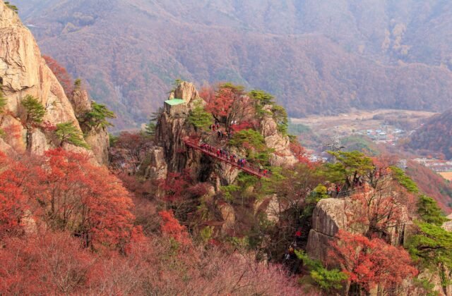 大芚山金剛雲橋（금강구름다리）橫跨奇岩絕壁，秋日紅葉