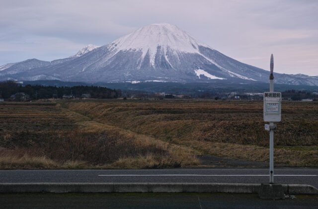 鳥取縣伯耆町一帶望向頂上積雪的大山，錐形山體如富士，山腳是田野