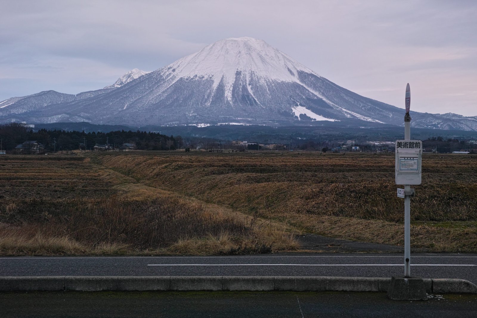 鳥取縣伯耆町一帶望向頂上積雪的大山，錐形山體如富士，山腳是田野