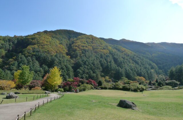 加平郡晨靜樹木園秋日庭園與遠山