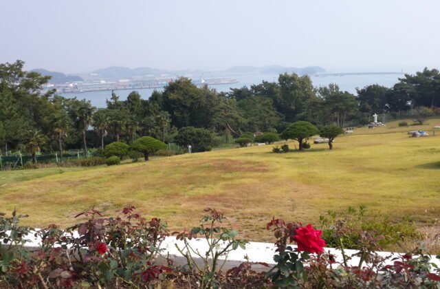 自小鹿島中央公園望向高興海岸，前景是草坪與玫瑰，遠方是海灣與港口