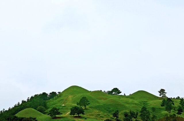 高靈池山洞古墳群沿山稜排開的圓形封土