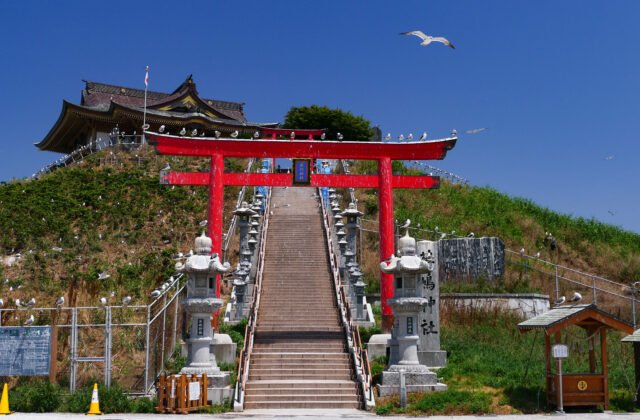 蕪嶋神社の朱鳥居と石段・ウミネコ