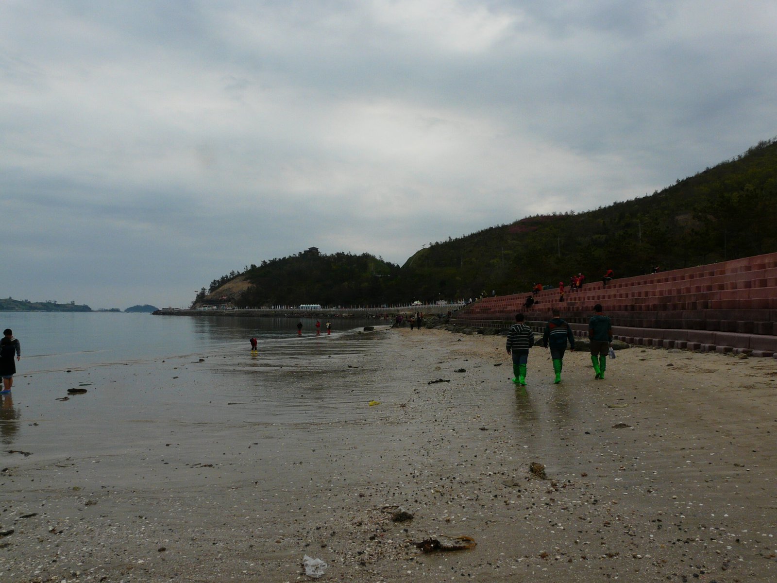 珍島神秘海路開通時遊人走在退潮露出的海中沙路上