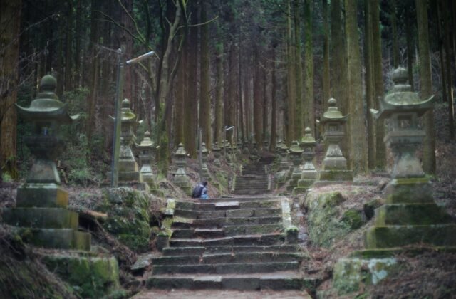 日本熊本縣高森町上色見熊野座神社苔石燈籠杉木參道