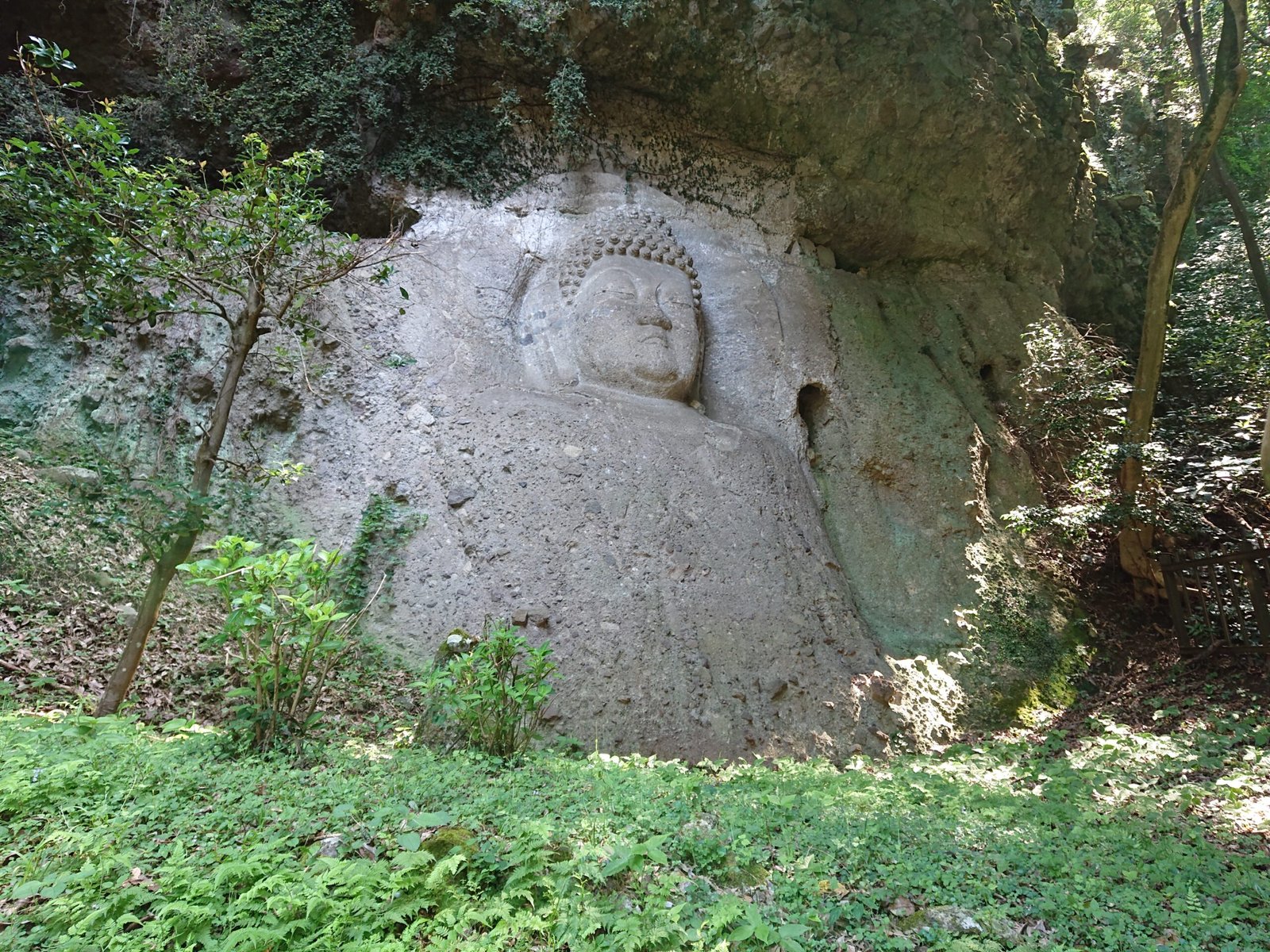 國東半島熊野磨崖佛，直接刻在山崖岩面上的巨大如來像，四周是綠意