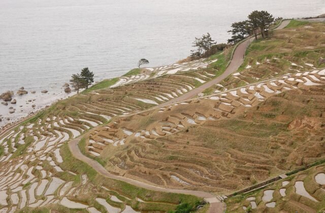 輪島白米千枚田層層落向日本海的梯田