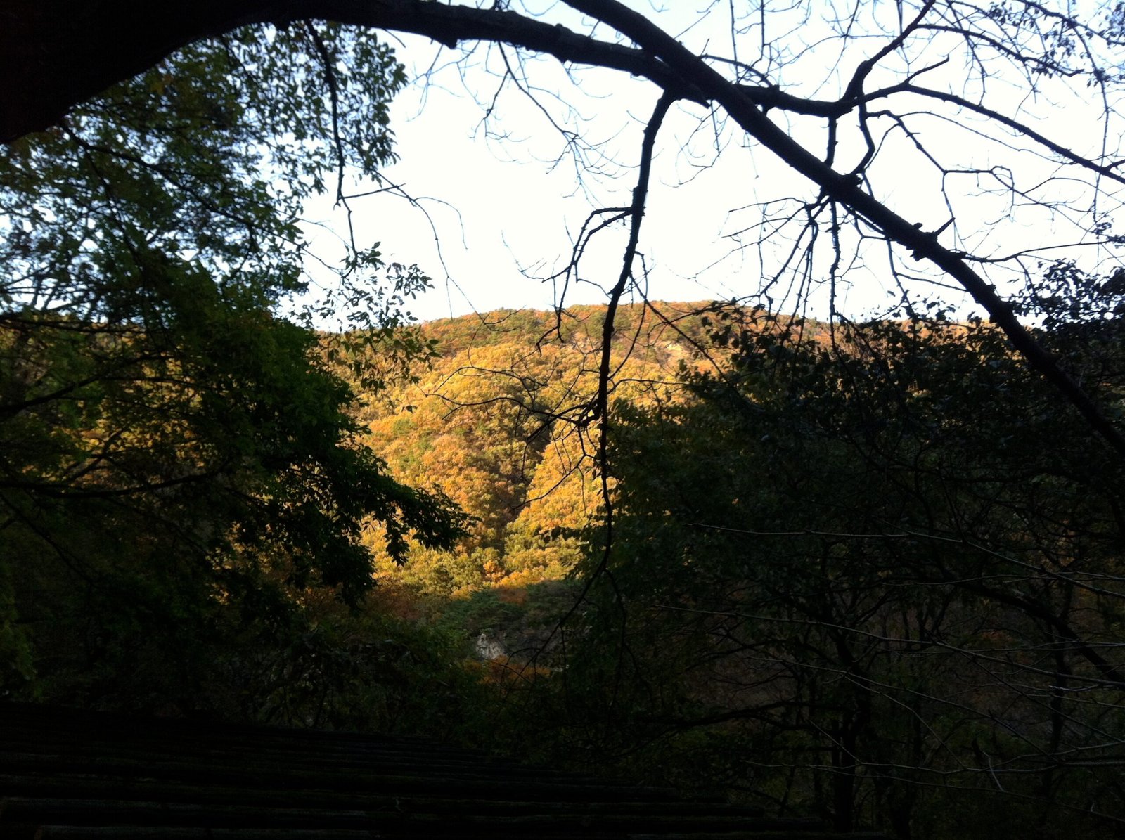 韓國京畿道東豆川逍遙山秋日紅葉山谷