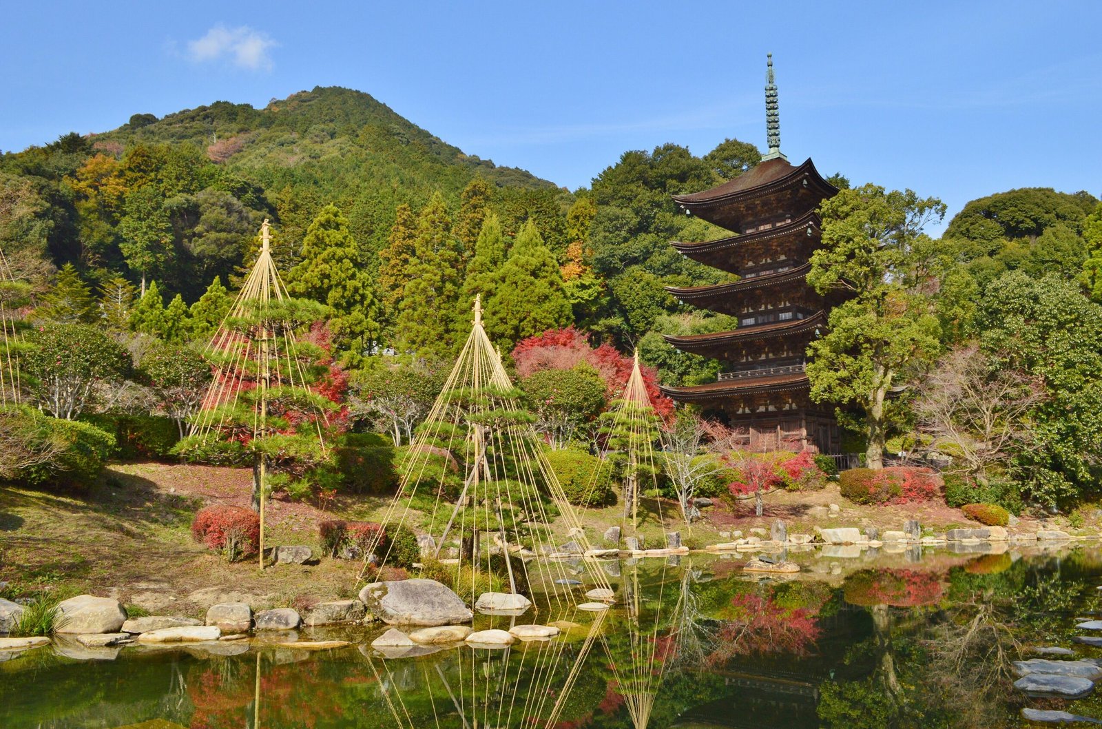 山口 瑠璃光寺の国宝五重塔と香山公園の庭園