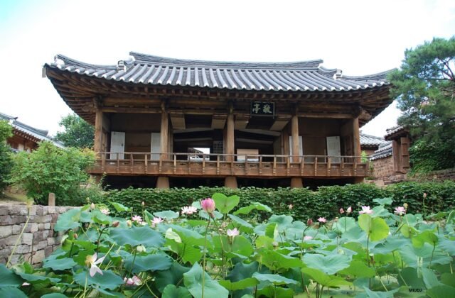 韓國慶北英陽瑞石池朝鮮民間園林敬亭與夏日蓮花池