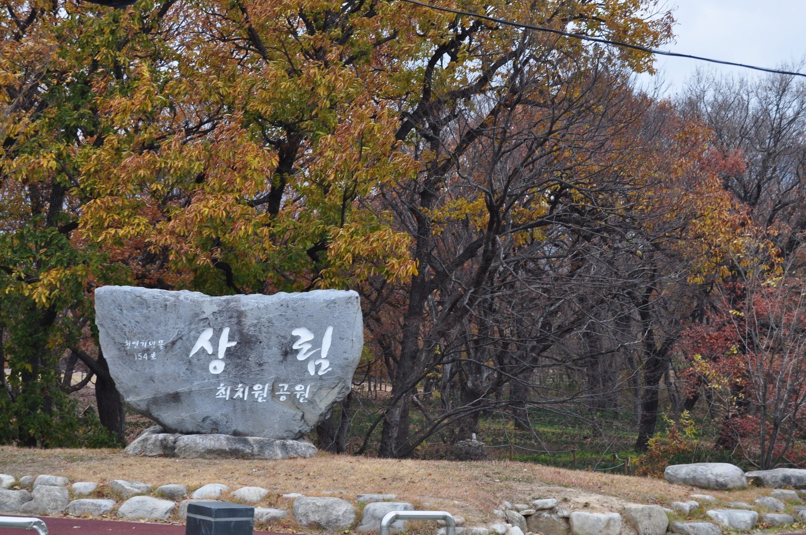 咸陽上林入口與崔致遠公園