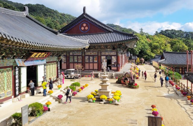 陝川海印寺大寂光殿庭院與伽倻山