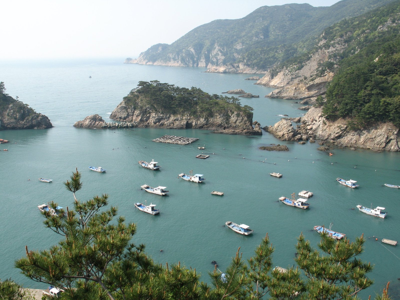 黑山島奇岩松林翠綠海灣與漁船