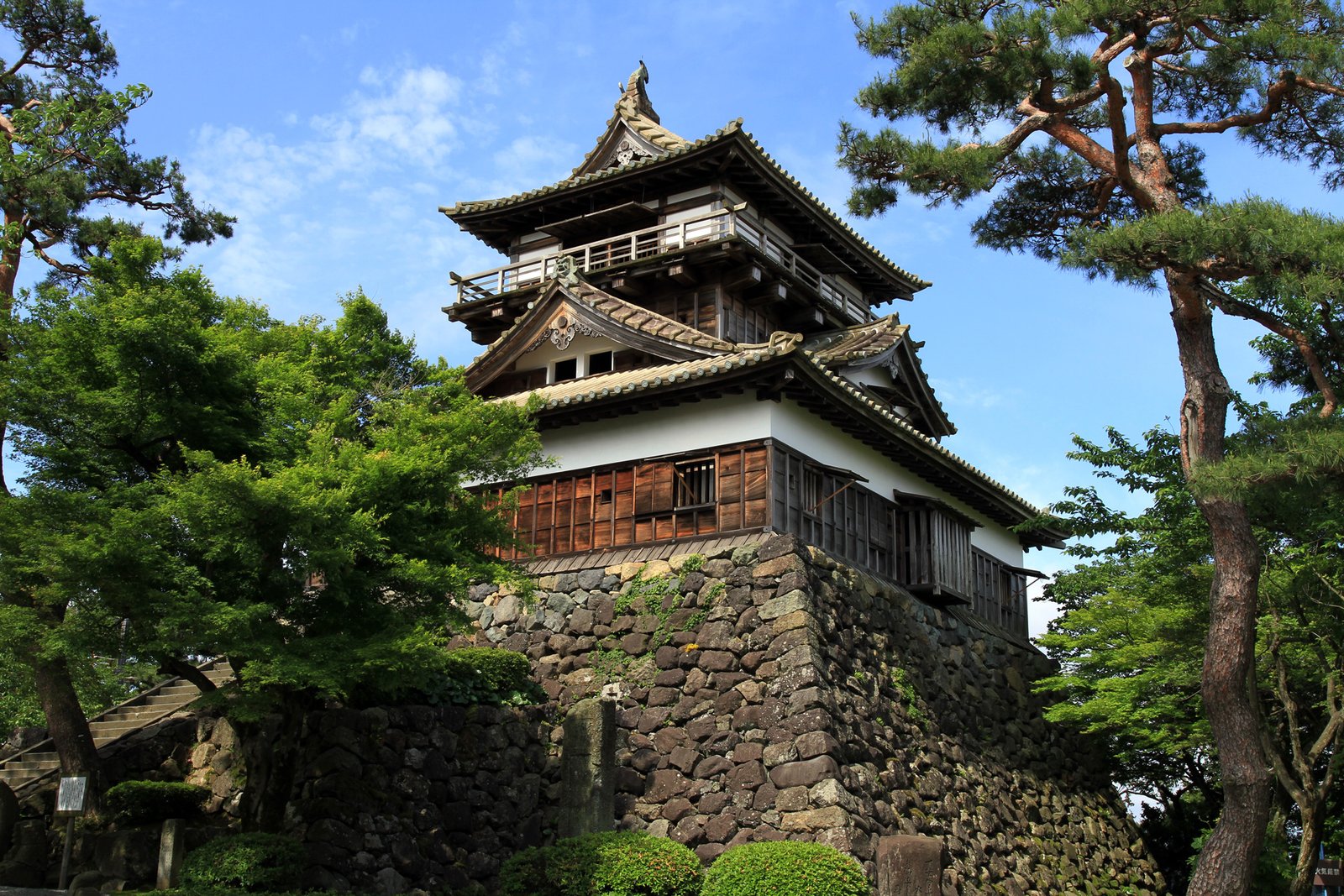 丸岡城天守與周邊松樹，二重三階望樓型天守立於野面積石垣之上
