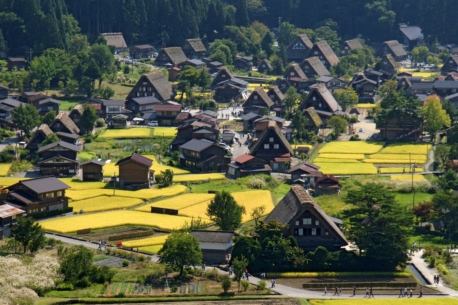 白川鄉荻町合掌造茅葺屋頂聚落與金黃稻田及群山