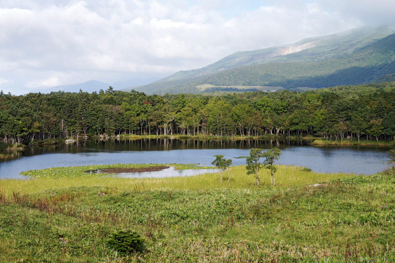 知床五湖一湖湖面與遠方知床連山