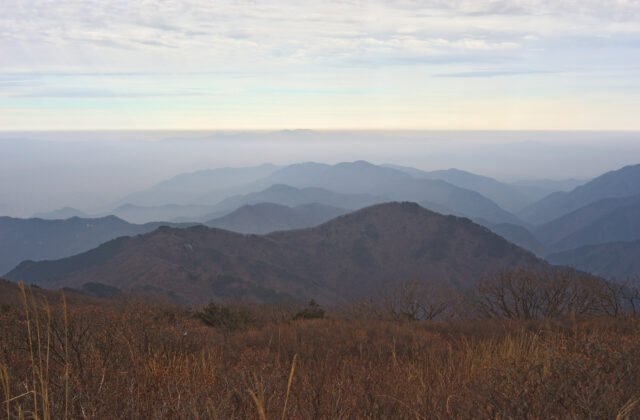 從大邱琵瑟山天王峰一帶遠眺層層山稜，前景是晚秋枯黃的草叢