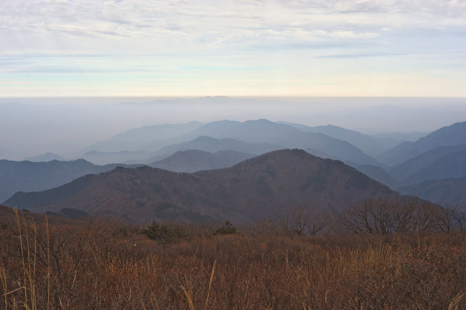 從大邱琵瑟山天王峰一帶遠眺層層山稜，前景是晚秋枯黃的草叢