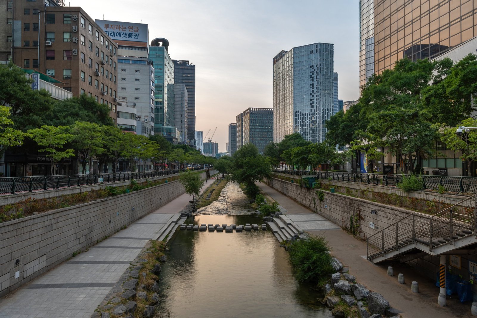 首爾清溪川兩岸綠樹與步橋的清晨景色
