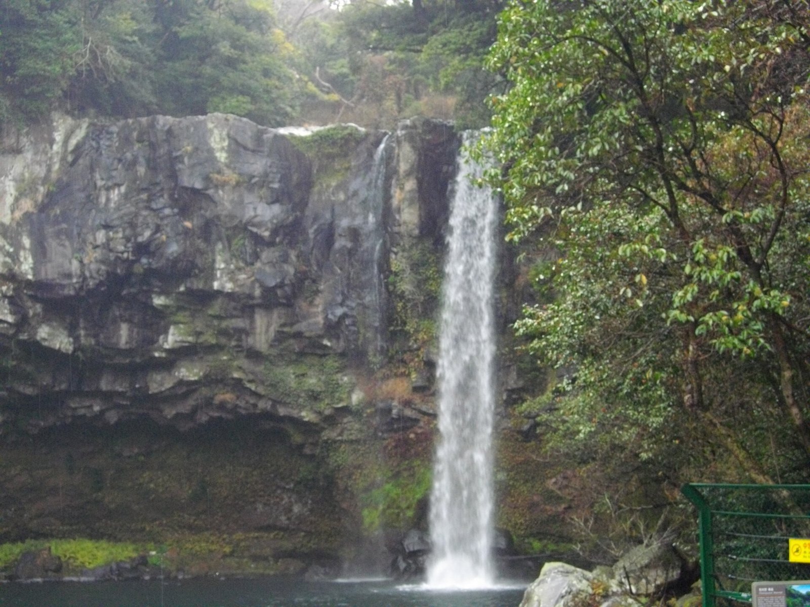 濟州島西歸浦天地淵瀑布的玄武岩斷崖與落水
