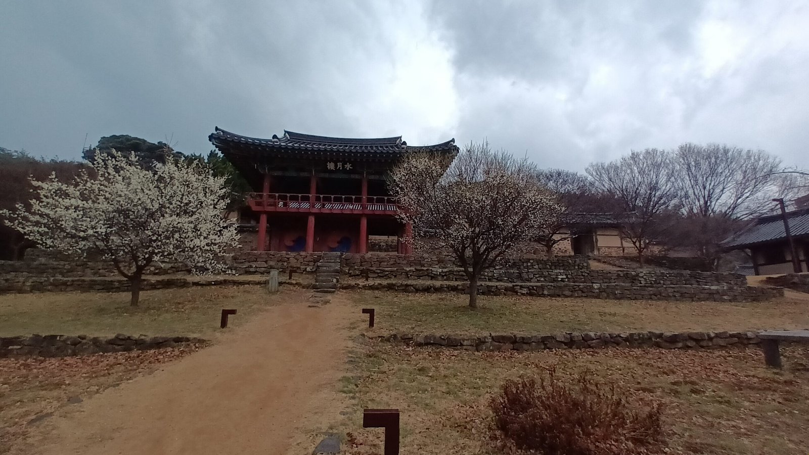 大邱達城道東書院水月樓與前庭梅樹，二〇二三年三月初春景色