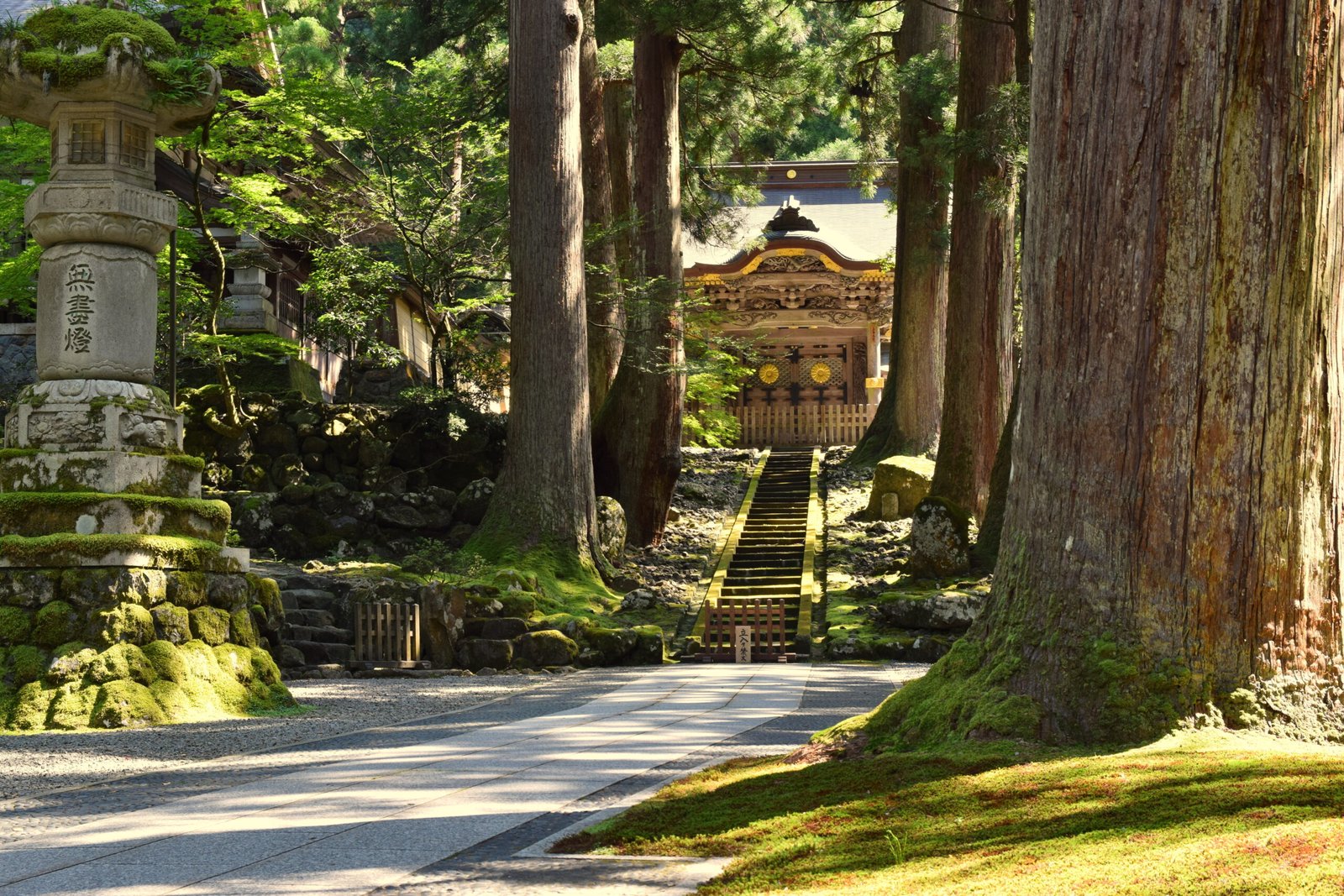 永平寺參道兩旁的老杉與石燈籠