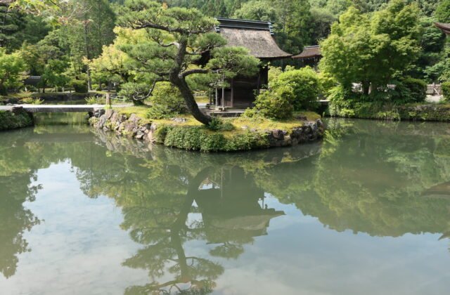 岐阜縣多治見市虎溪山永保寺的池泉庭園