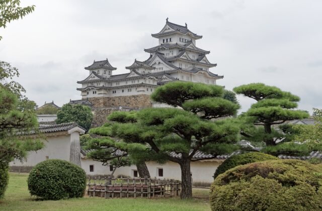 姬路城白色大天守與前方松樹庭園