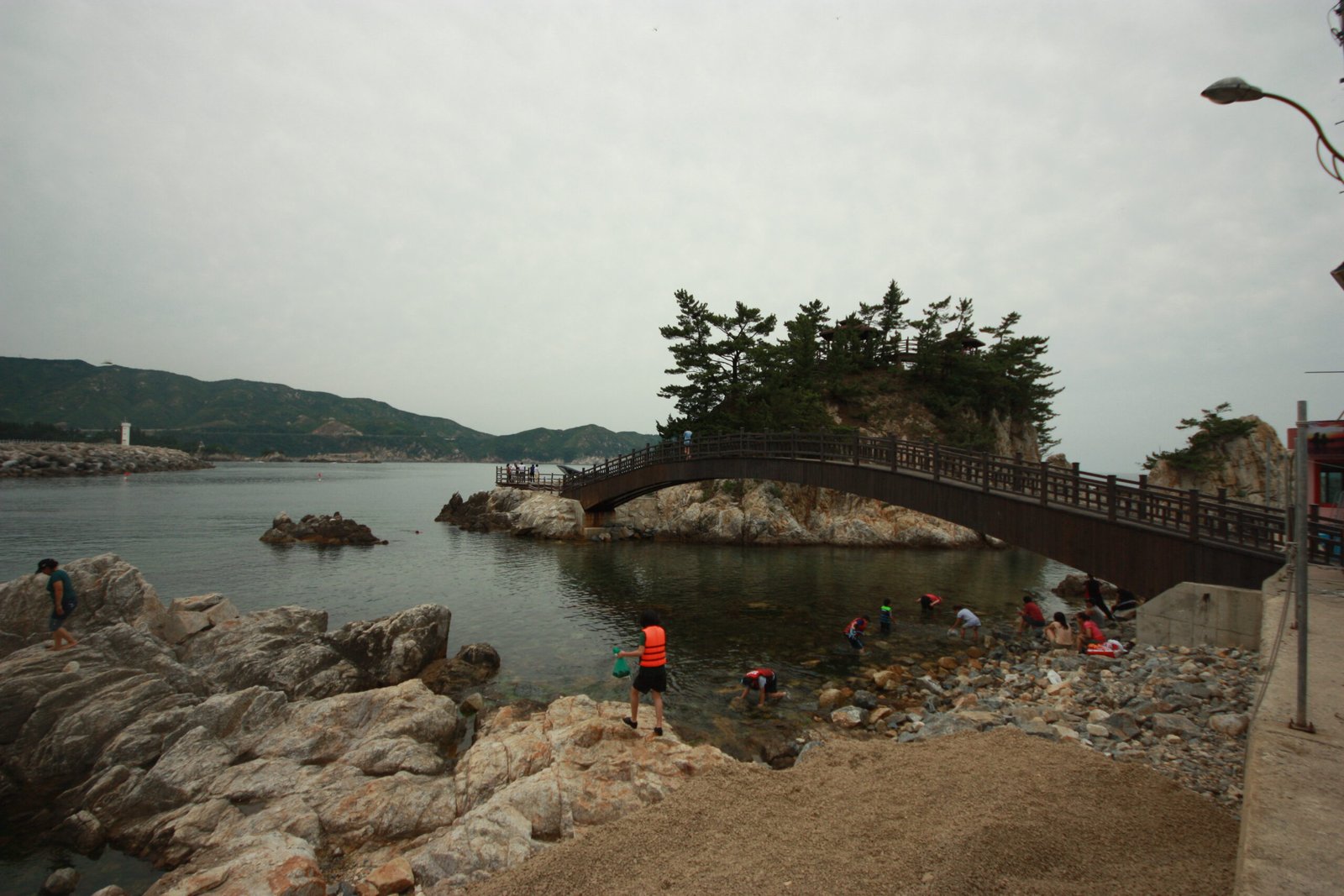 三陟長湖港的木造拱橋、松樹小島與清澈淺灘