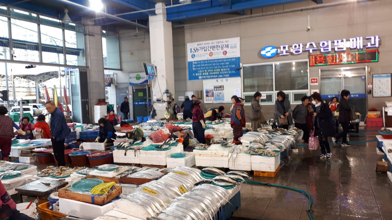 浦項竹島市場魚市內部,攤位上擺滿鮮魚與冰塊