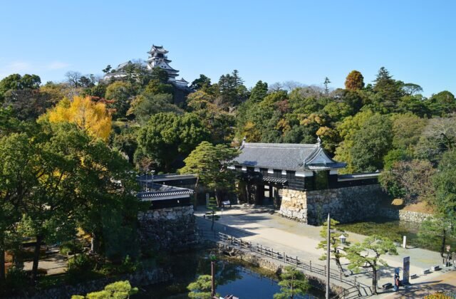 高知城天守與追手門遠景，周圍環繞紅葉與常綠樹林