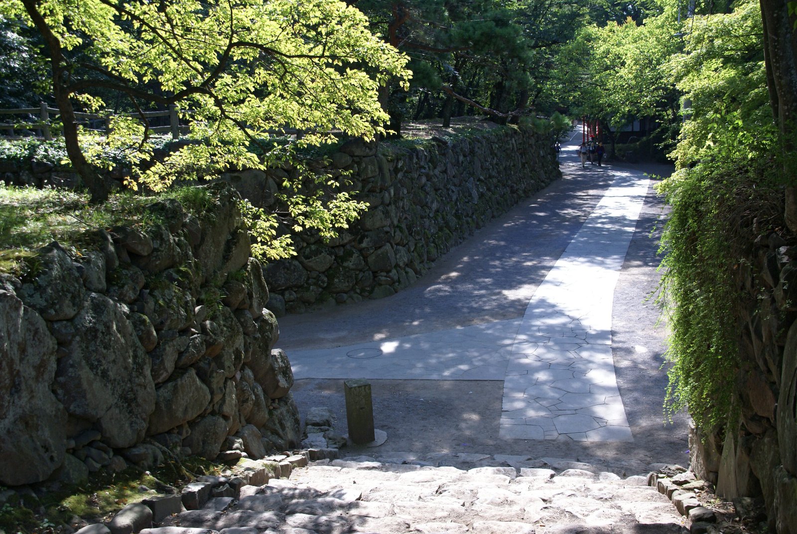 小諸城址懷古園內沿著野面積石垣延伸的參道與綠蔭