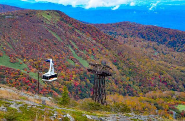秋天紅葉中的那須纜車與茶臼岳山坡