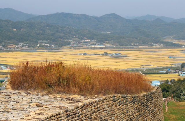 三年山城石砌城牆與報恩秋季金黃稻田