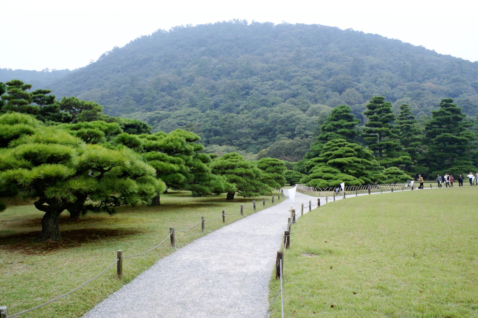 高松栗林公園的松林與紫雲山