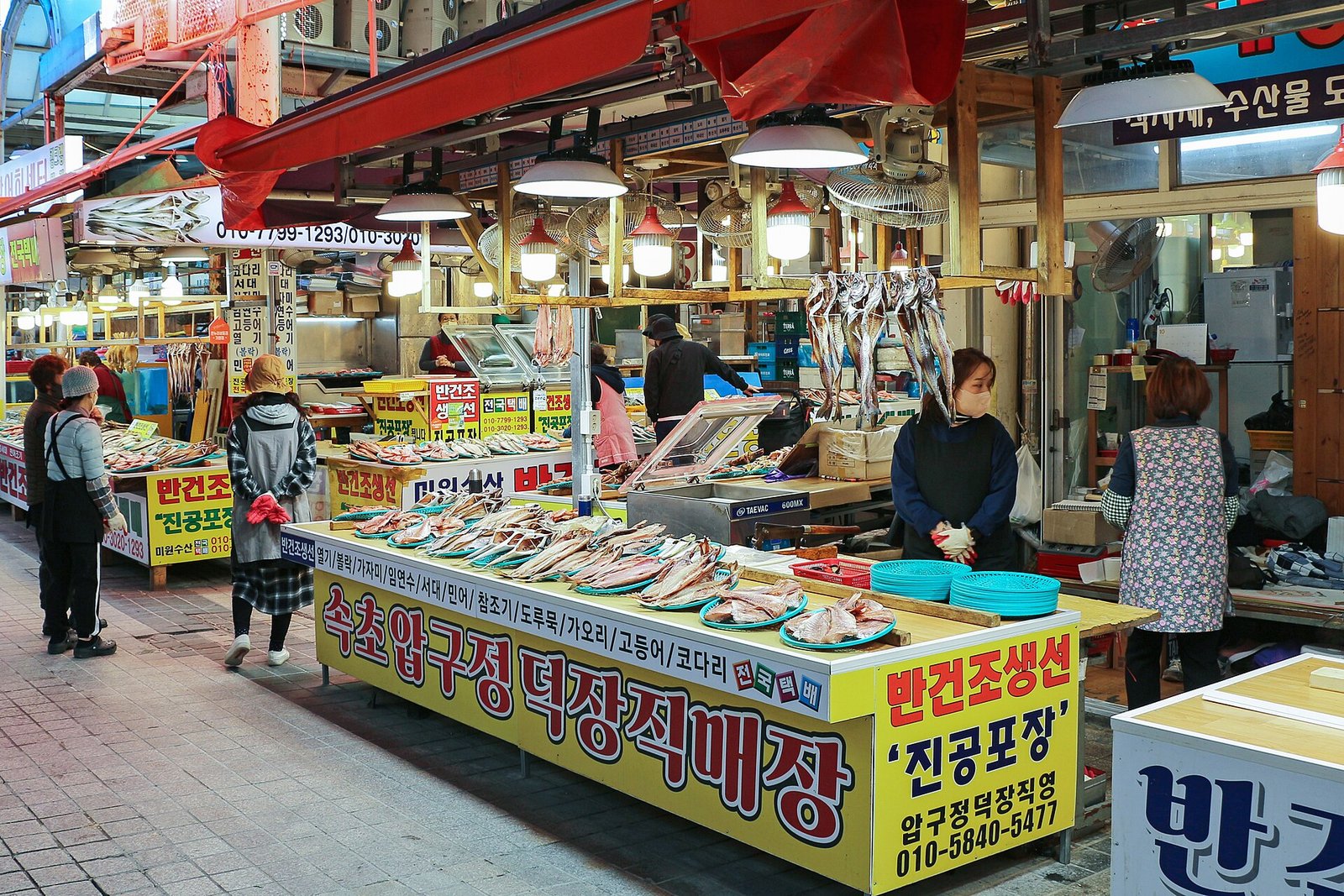 束草中央市場海鮮攤位