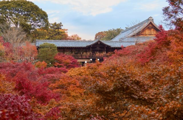 京都東福寺通天橋一帶的秋季紅葉