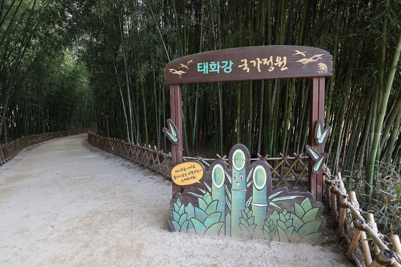 蔚山太和江國家庭園十里竹林步道