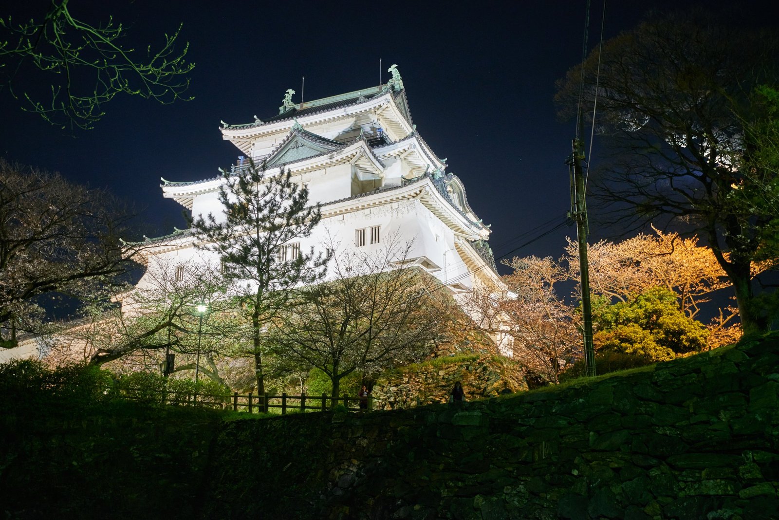 和歌山城天守在櫻花季夜間點燈