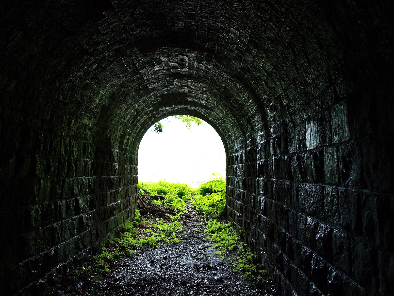 魚梁瀬森林鐵道平瀬隧道遺跡